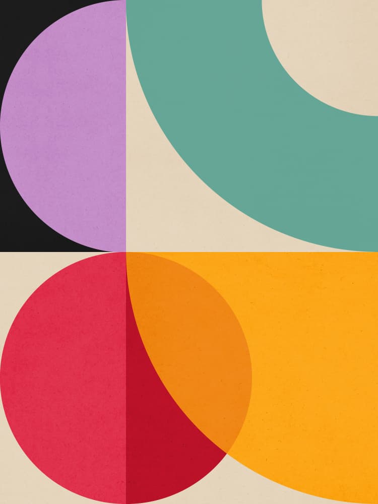 Modern Geometric Curves by Vitor Costa — canvas wall art