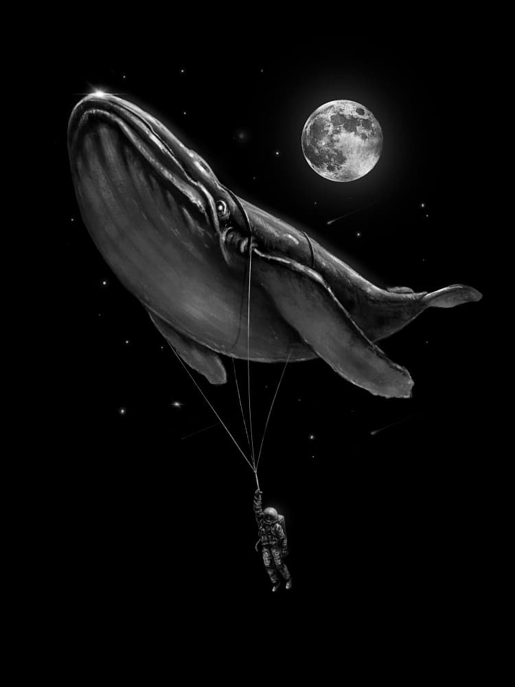 Cosmic Whale Ride by Nicebleed — canvas wall art