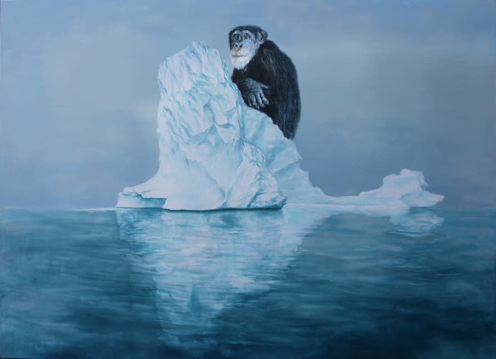 Chimpanzee on Iceberg by Rudolf Kosow — canvas wall art