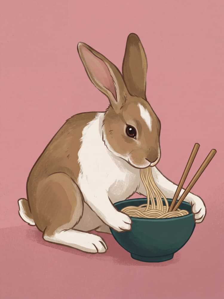 Cute Rabbit Ramen by Andreas Magnusson — canvas wall art