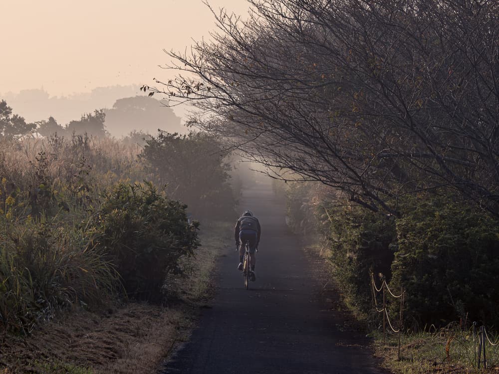 Misty Morning Ride by Satoshi Hatsumori — canvas wall art