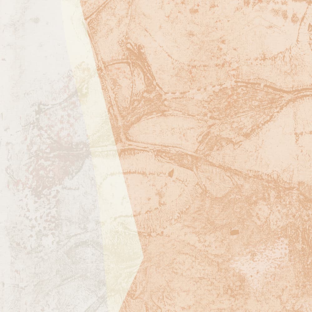 Earthy Tone Abstract by Dina Dankers — canvas wall art