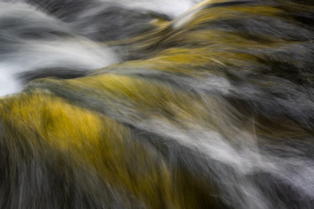 Golden Fluid Flow by Masaki Sugita — canvas wall art