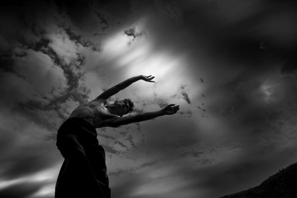 Reaching For Light by Paulo Medeiros — canvas wall art