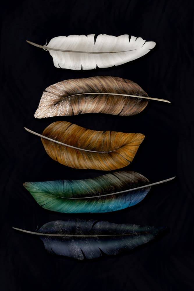 Elegant Feather Gradient by EMELIEmaria — canvas wall art