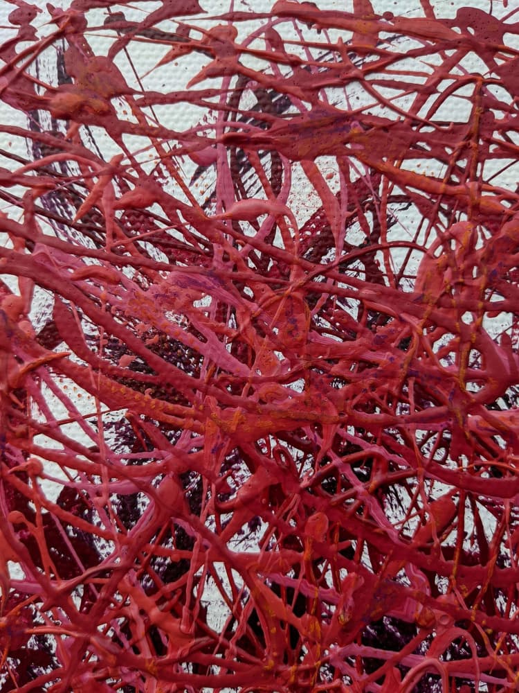 Crimson Tangled Lines by Lena Kolambet — canvas wall art