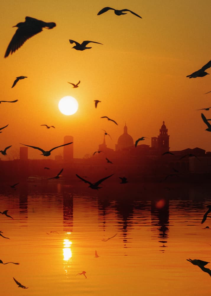 Golden Hour City Birds by Ariz Rab — canvas wall art