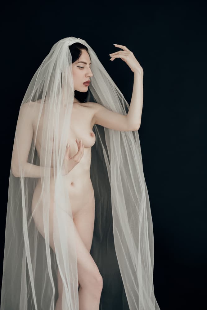 Elegant Veiled Nude by Zanna — canvas wall art