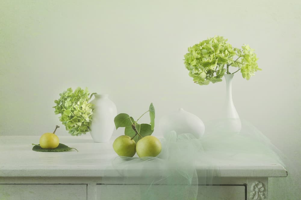 Fresh Green Still Life by Lydia Jacobs — canvas wall art