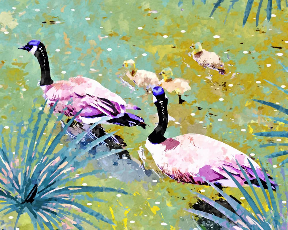 Vibrant Geese Family Pond by Uma Gokhale — canvas wall art