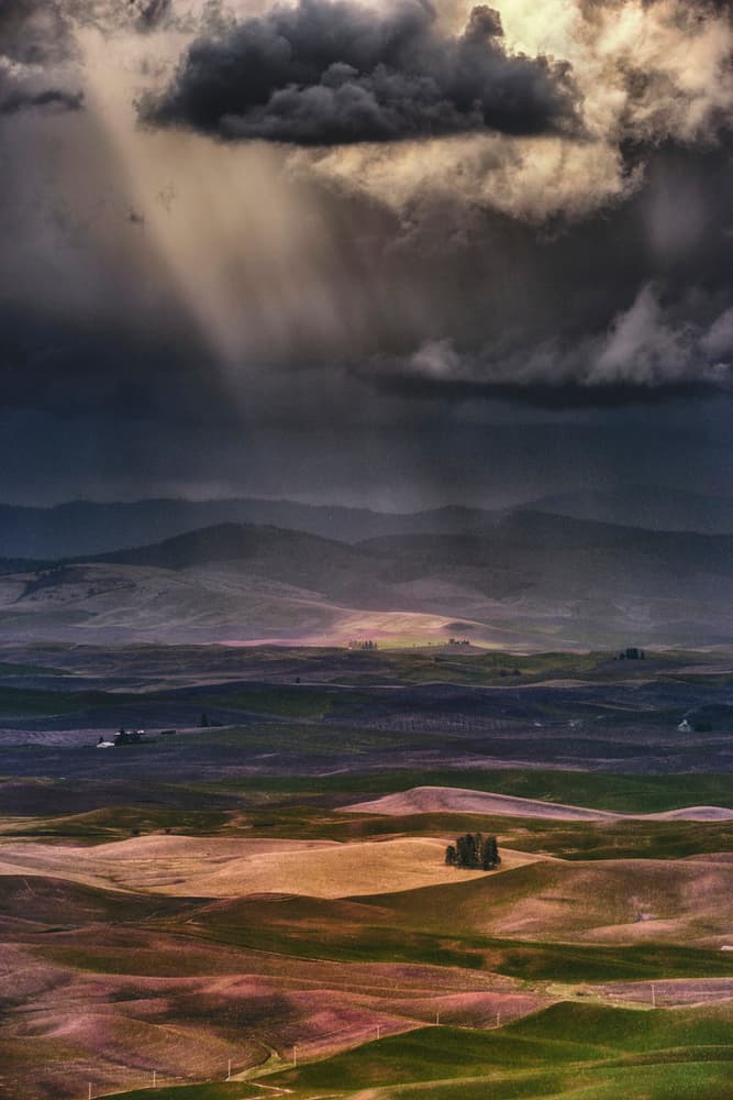 Sun Rays Over Vibrant Fields by Lydia Jacobs — canvas wall art