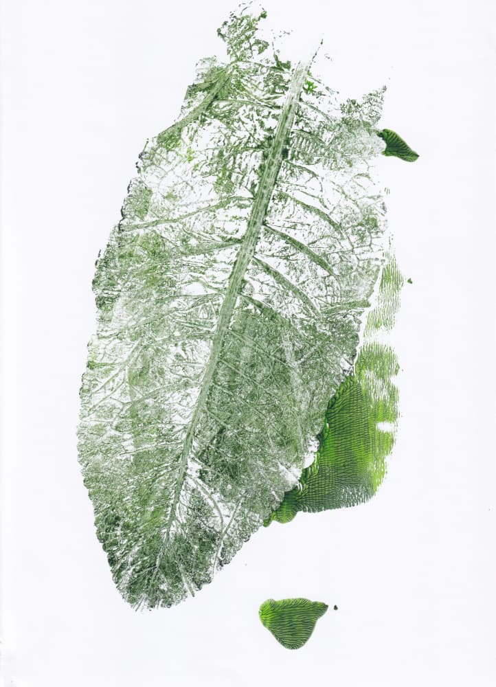 Organic Leaf Print by Maira Ribena — canvas wall art