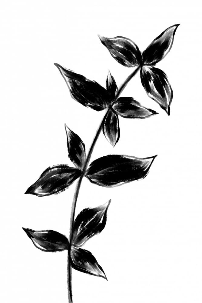 Organic Leaf Study by Martina — canvas wall art