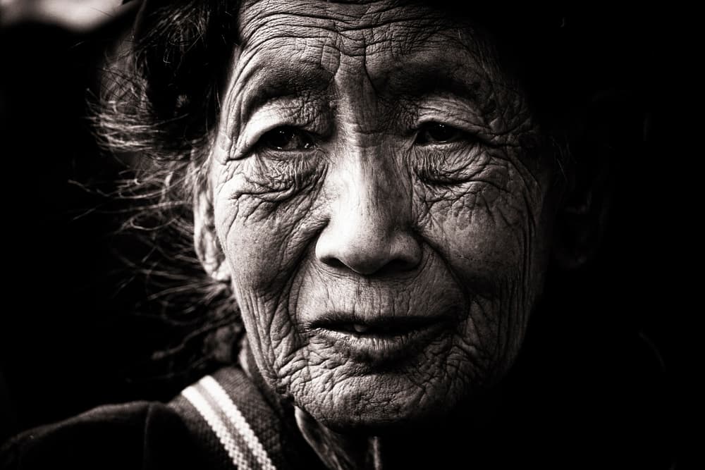 Wrinkled Wisdom by Elena Molina — canvas wall art