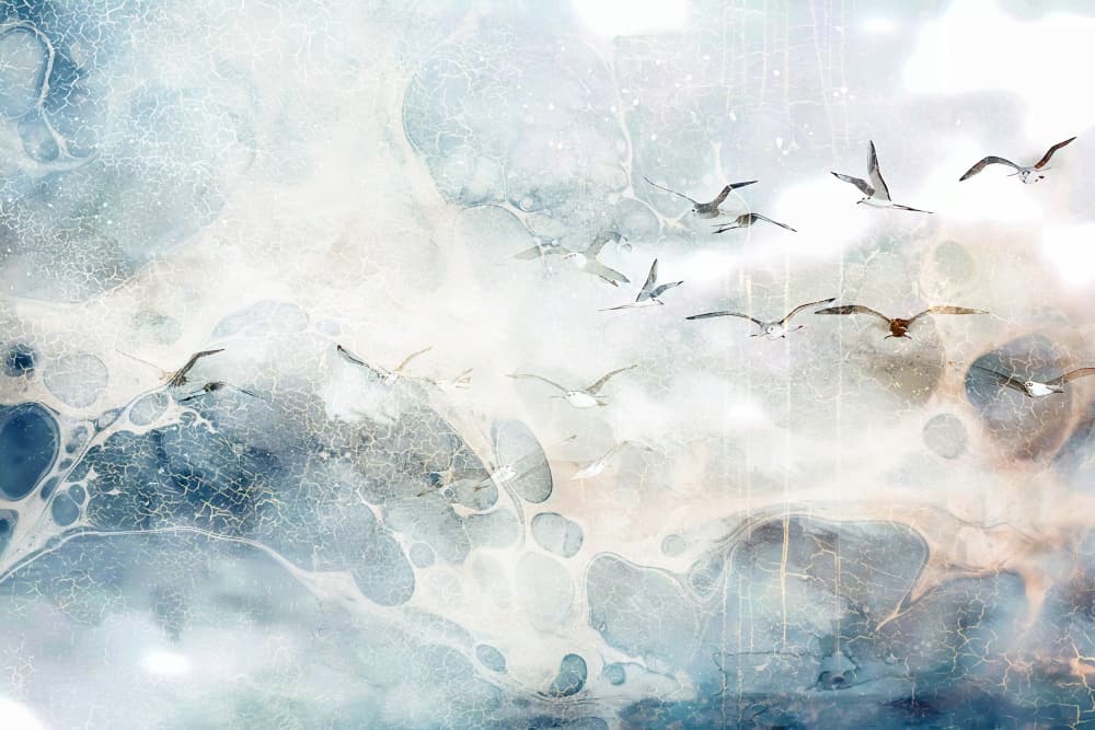 Bird Birds Animal Vintage Art Illustration Wallart 13 by Rafal Kulik — canvas wall art