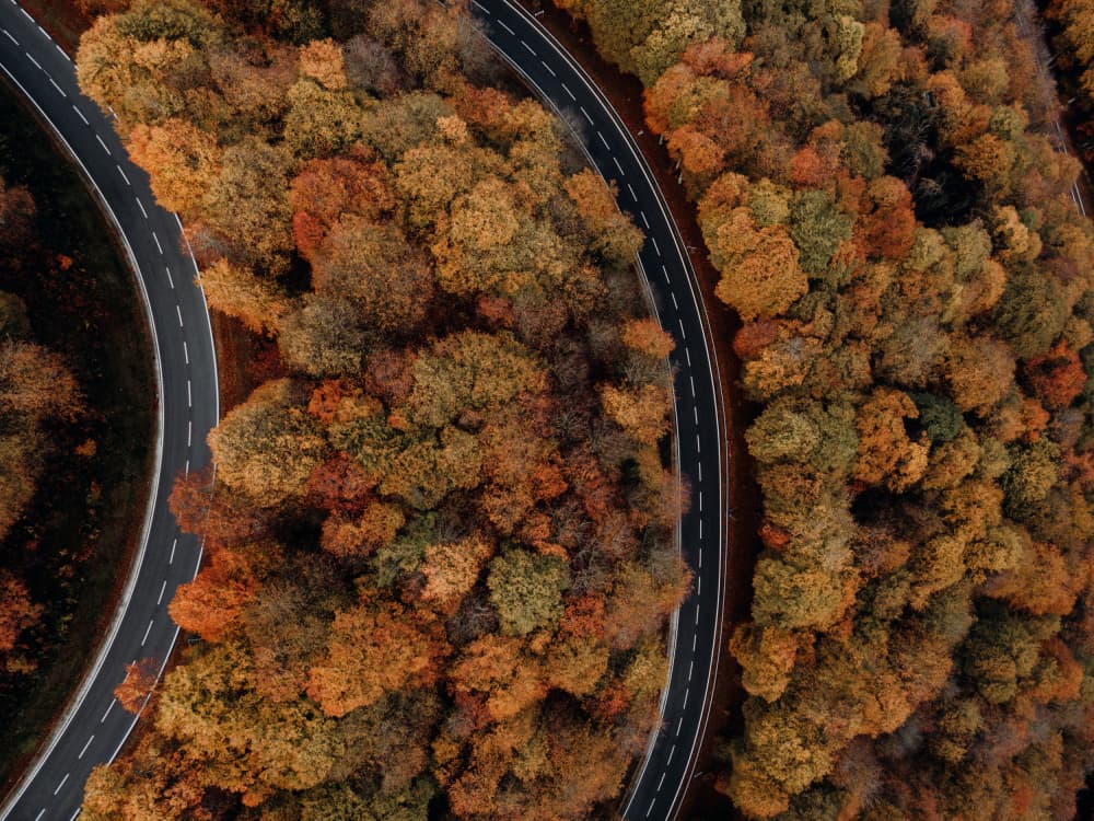 Winding Autumn Roads by Javier Pardina — canvas wall art