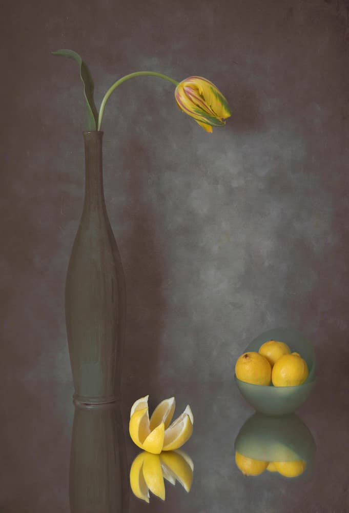 Graceful Tulip and Lemons by Lydia Jacobs — canvas wall art