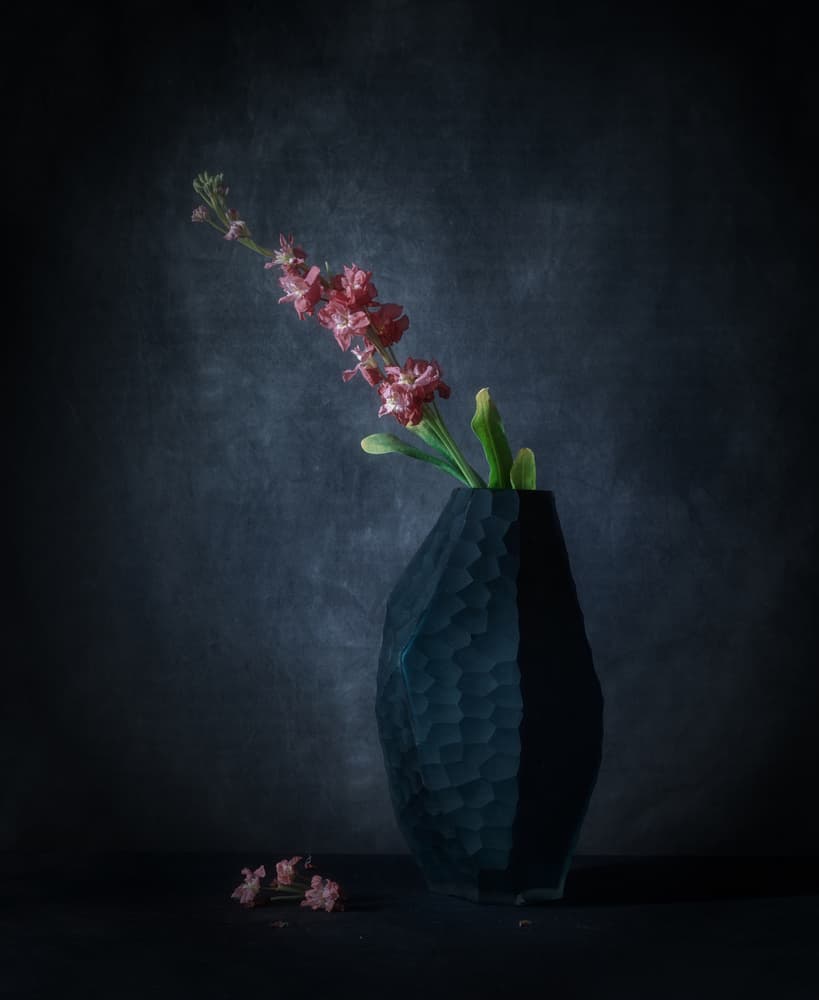 Dark Floral Elegance by May G — canvas wall art