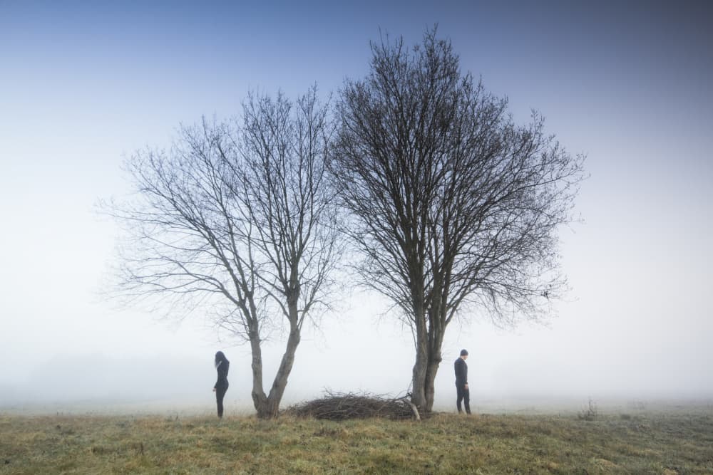 Distant Couple in Fog by Leszek Paradowski — canvas wall art