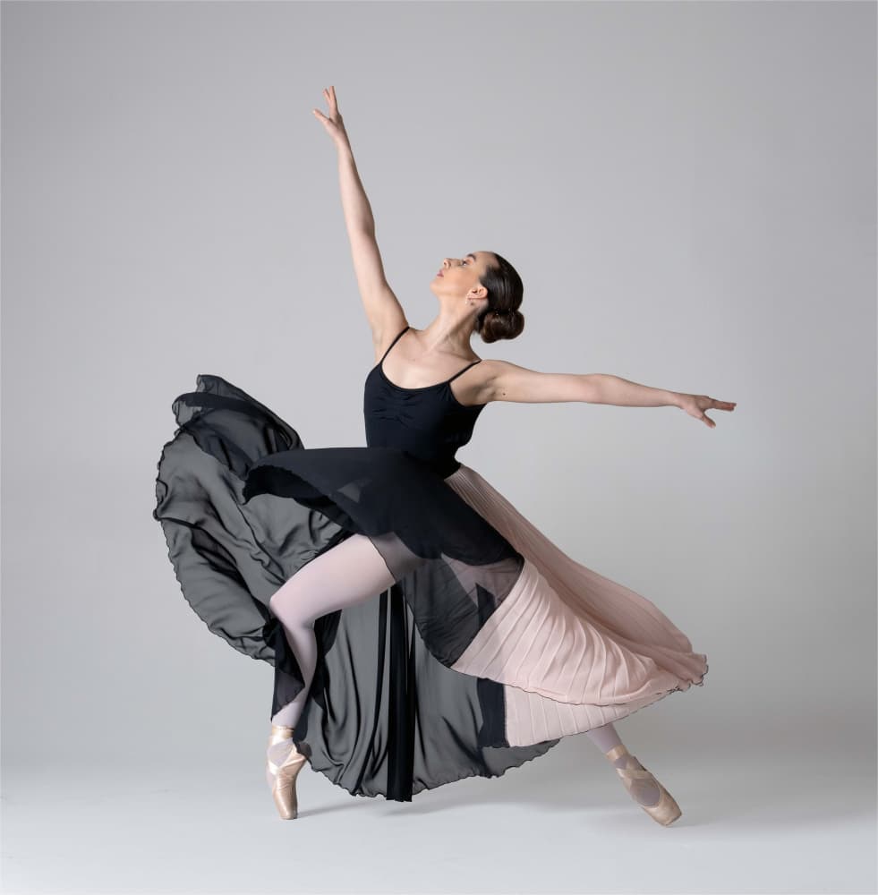 Graceful Ballet Movement by Derwood — canvas wall art
