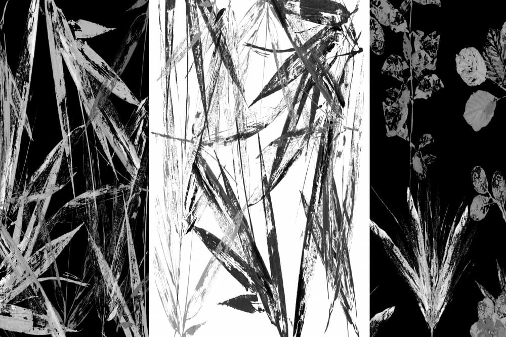 Monochrome Botanical Study by cartissi — canvas wall art