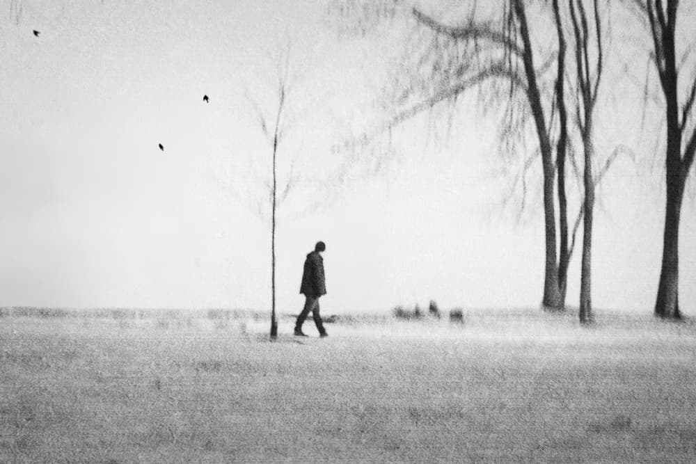 Lone Figure Winter Walk by Cindy Liu — canvas wall art