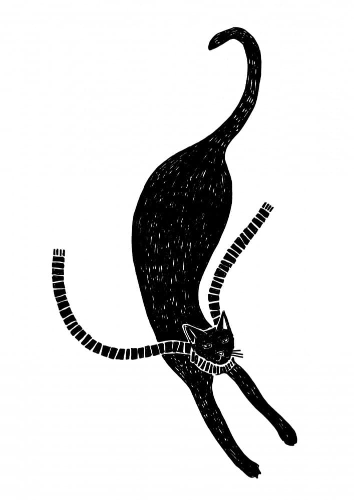 Elegant Black Cat Floating by Rosana Laiz Blursbyai — canvas wall art
