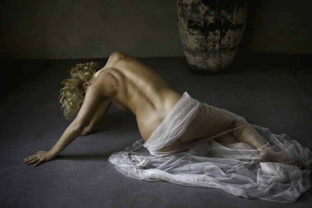 Graceful Draped Form by Chris Bos — canvas wall art