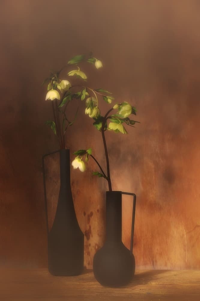 Quiet Floral Elegance by Saskia Dingemans — canvas wall art