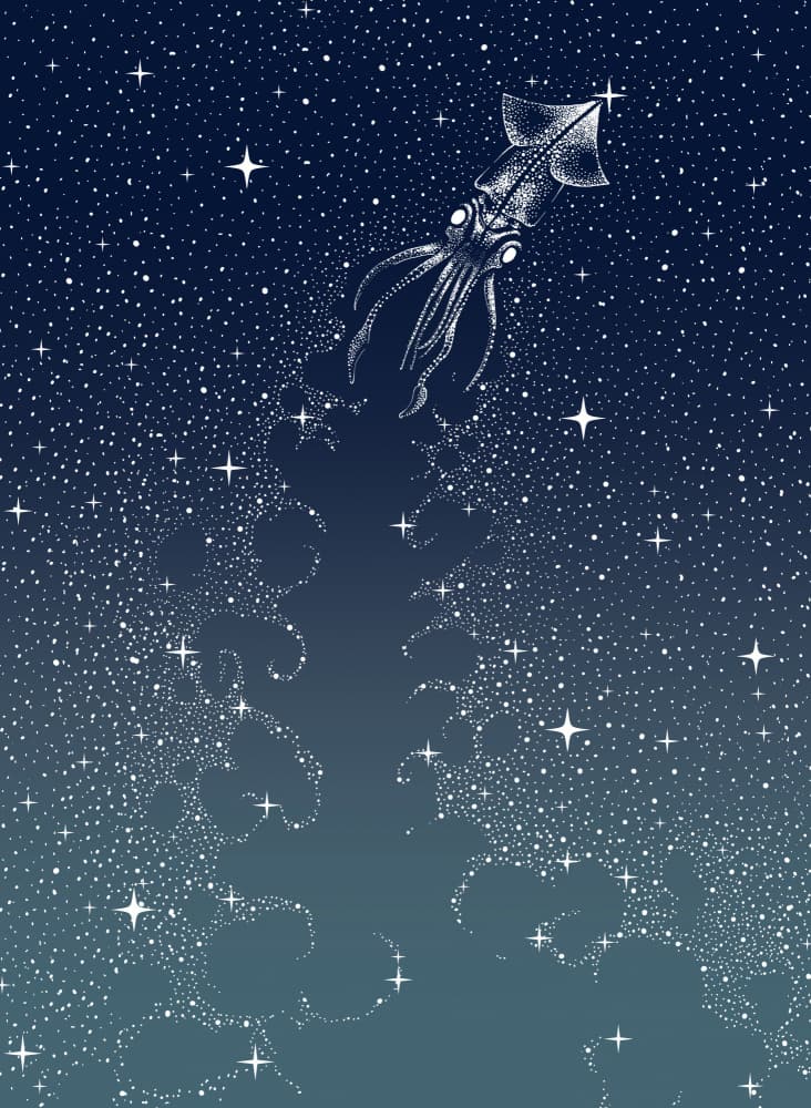 Celestial Squid Ascent by Alirıza ÇAKIR — canvas wall art