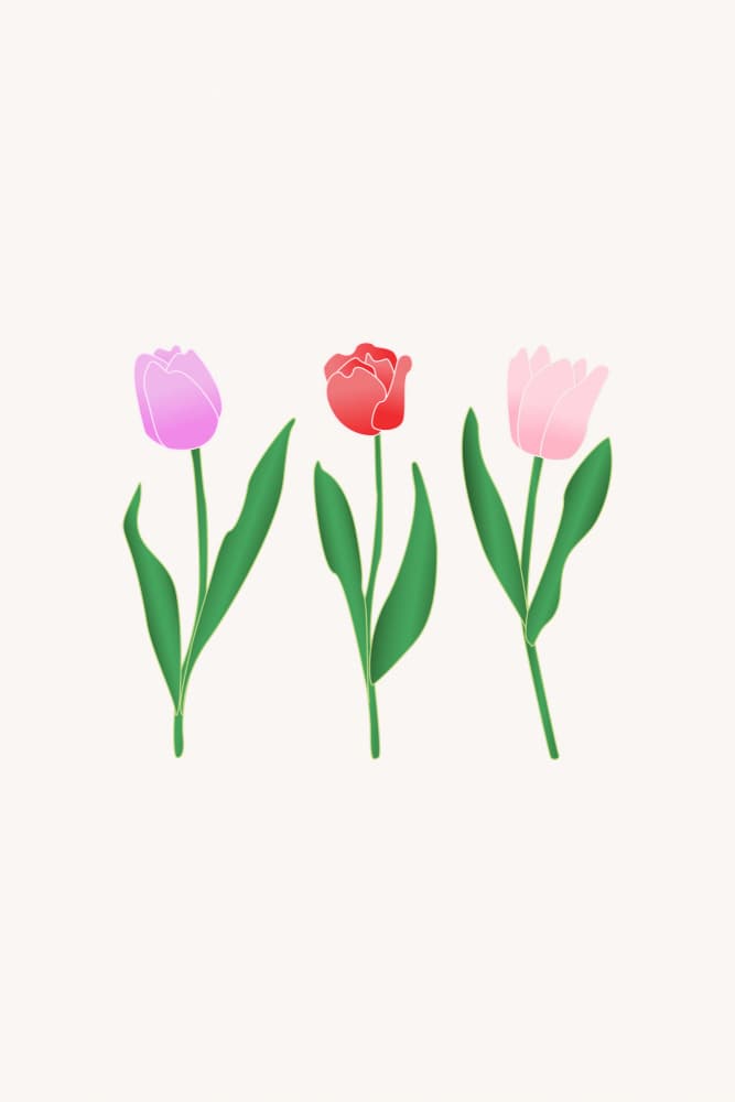 Three Colorful Tulips by Karen Menzenbach — canvas wall art