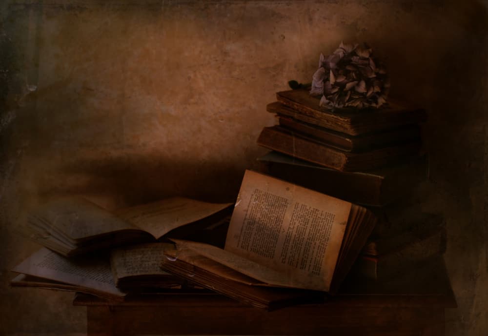 Dark Academia Books by Delphine Devos — canvas wall art