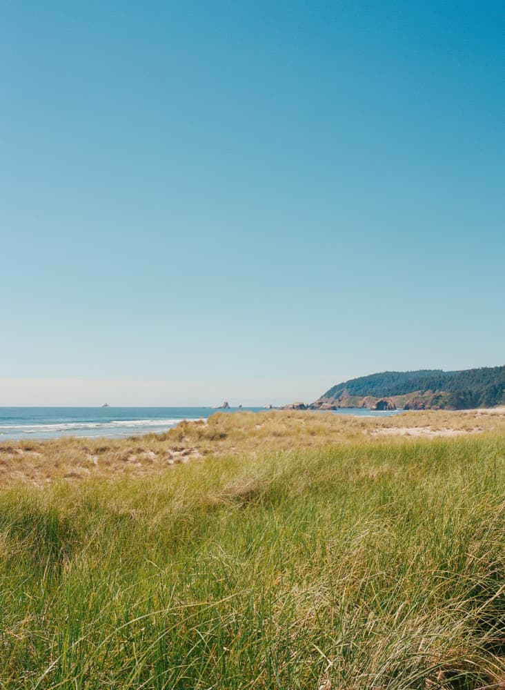 Expansive Coastal Dunes by Bethany Young — canvas wall art