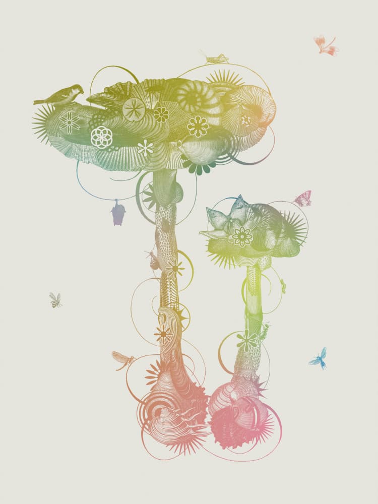 Whimsical Rainbow Mushrooms by Jaco Putker — canvas wall art