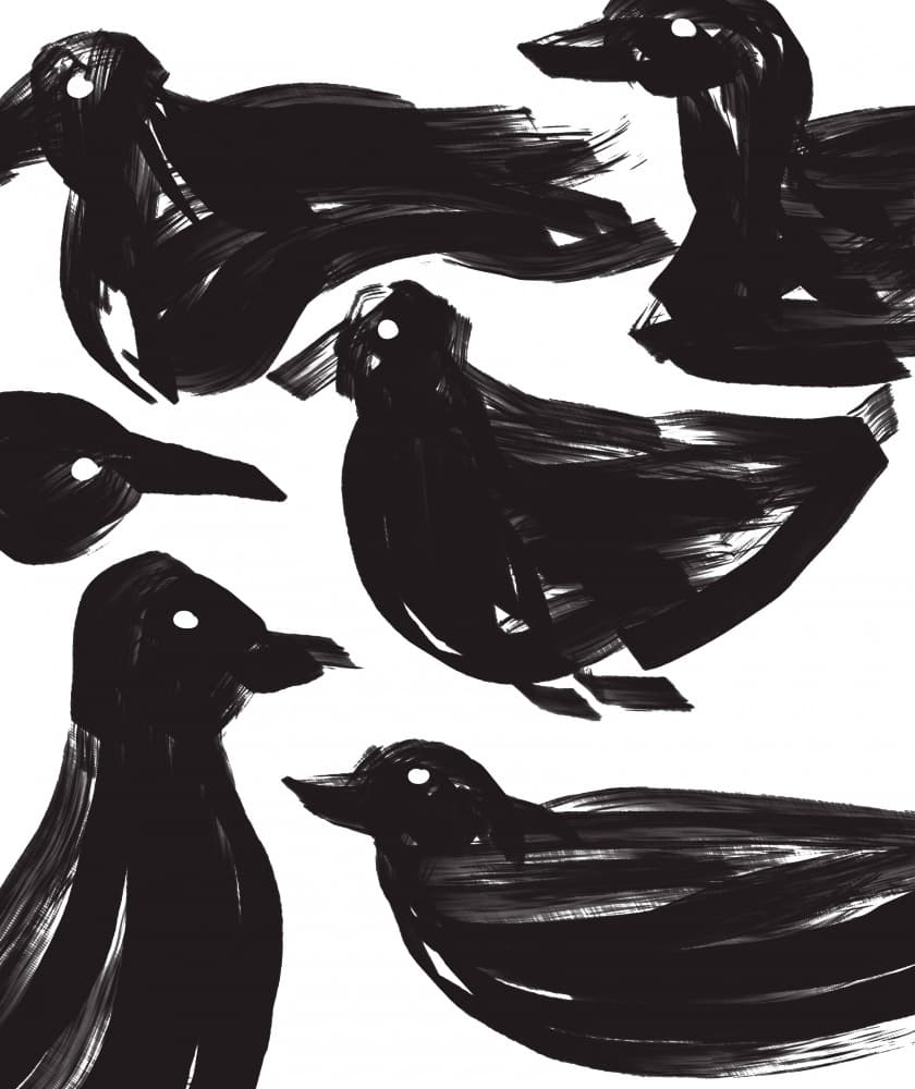 Abstract Black Birds by Josie George — canvas wall art