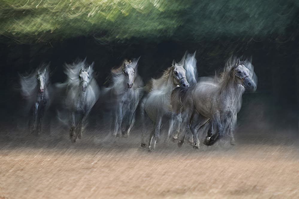 Ethereal Running Horses by Milan Malovrh — canvas wall art