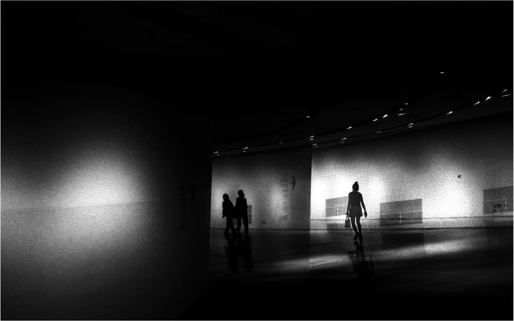 Silhouettes in Dark Gallery by Parole Kim — canvas wall art