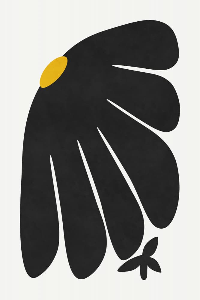 Black Petal Bloom by amini54 — canvas wall art