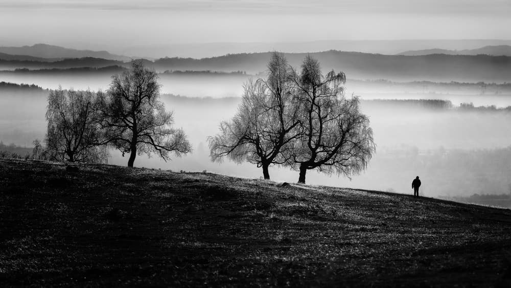 Misty Hill Solitary Man by Marius Cinteza — canvas wall art