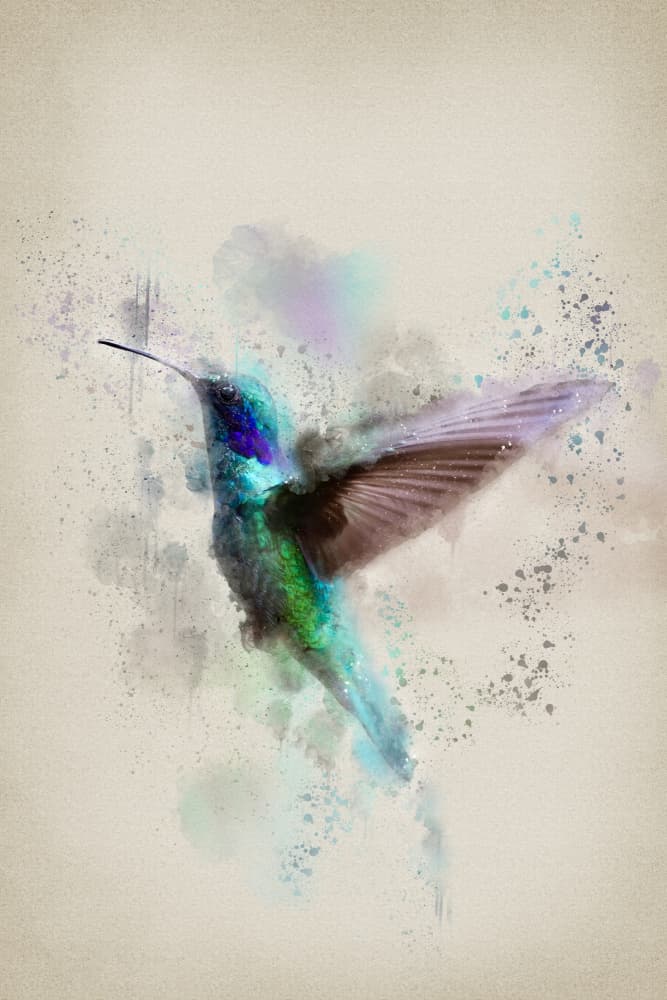 Vibrant Watercolor Hummingbird by Ema Paraschiv — canvas wall art
