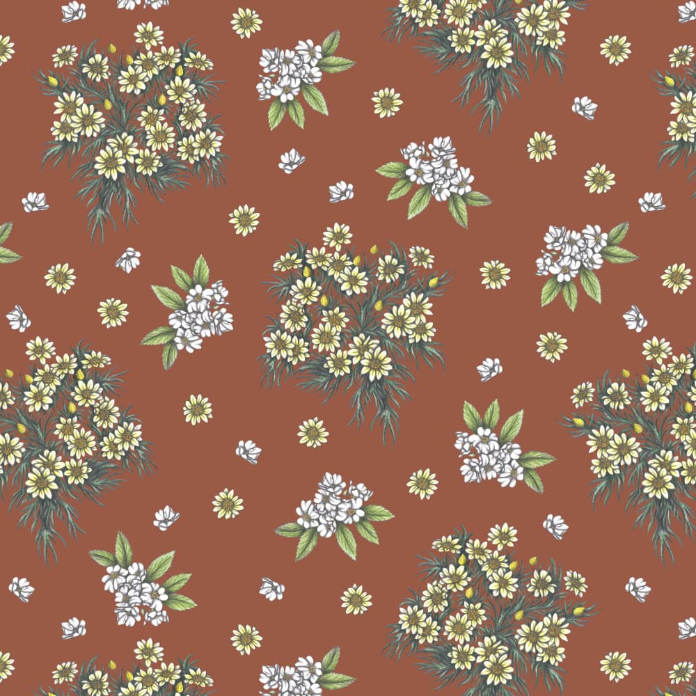 Rustic Daisy Scattering by Cecilia Battaini — canvas wall art