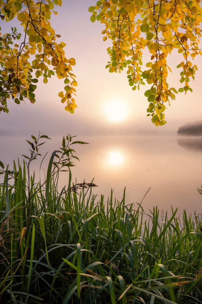 Sunrise Over Misty Lake by Christian Lindsten — canvas wall art