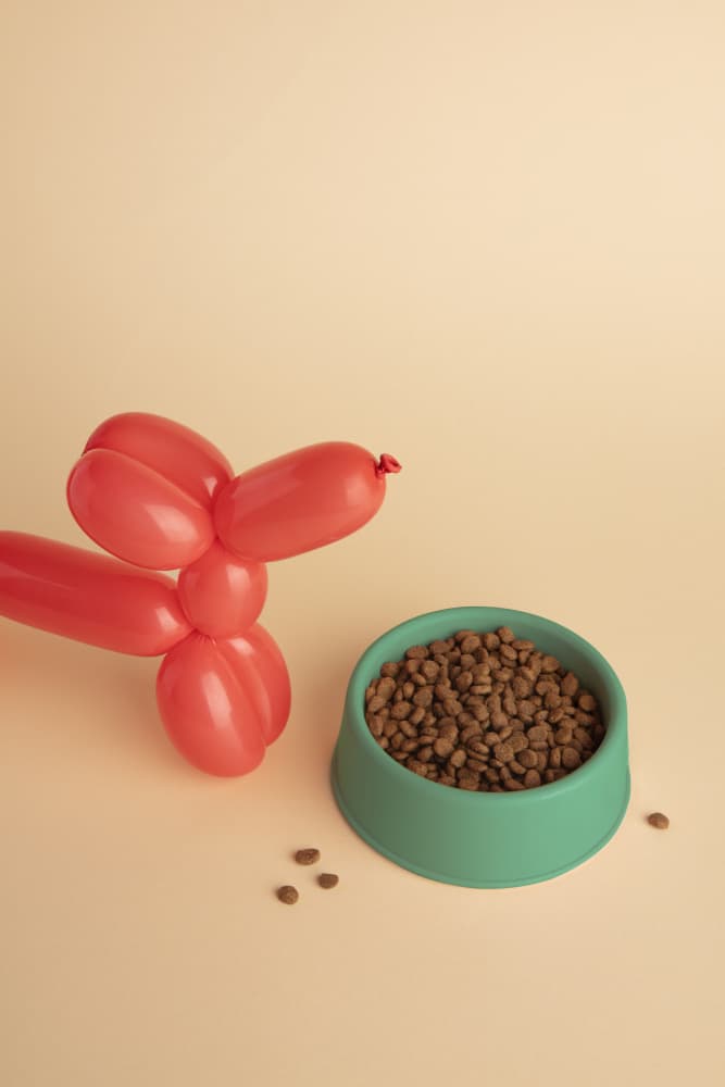 Balloon Dog's Meal by Julia Ramiro — canvas wall art