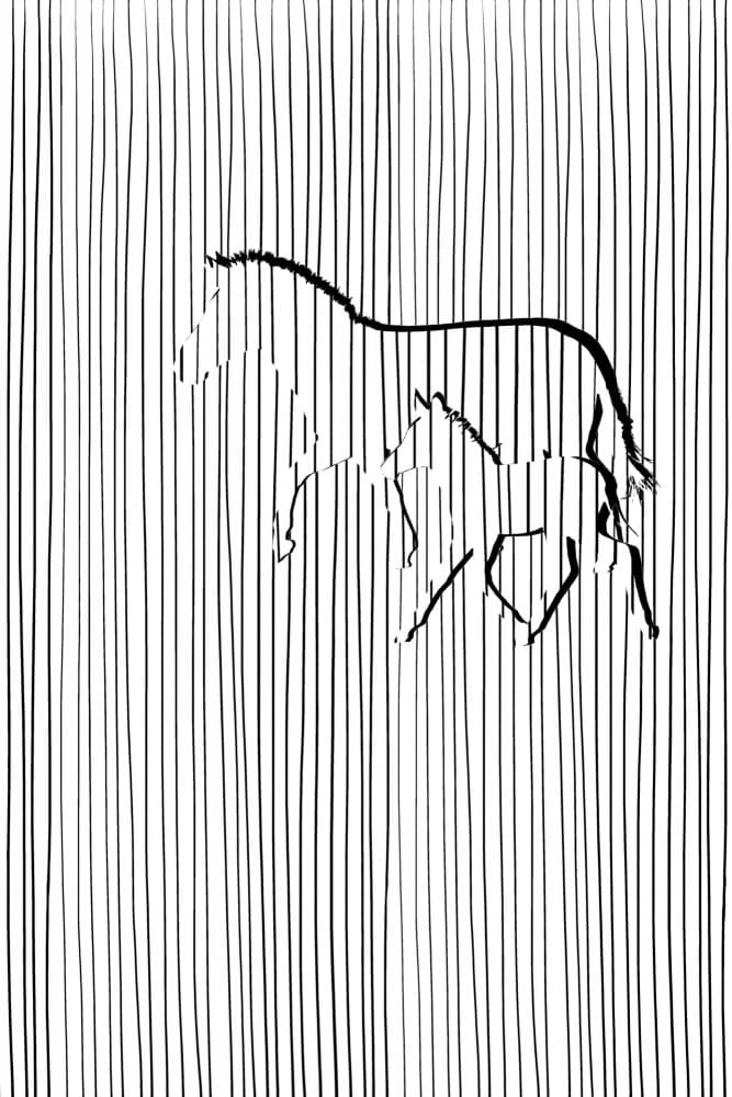 Wild Horses Line Art by Anja Runfors Essén — canvas wall art