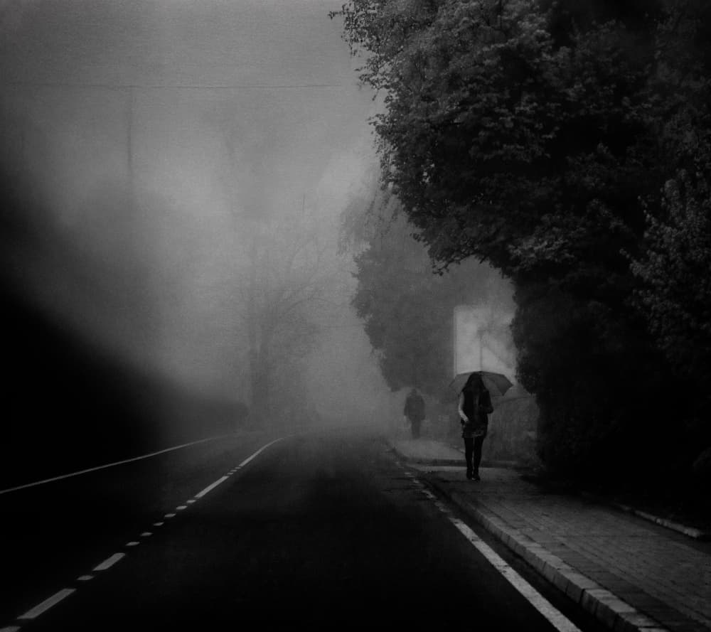 Walk Through The Fog by Ömer Ates Kızıltug — canvas wall art