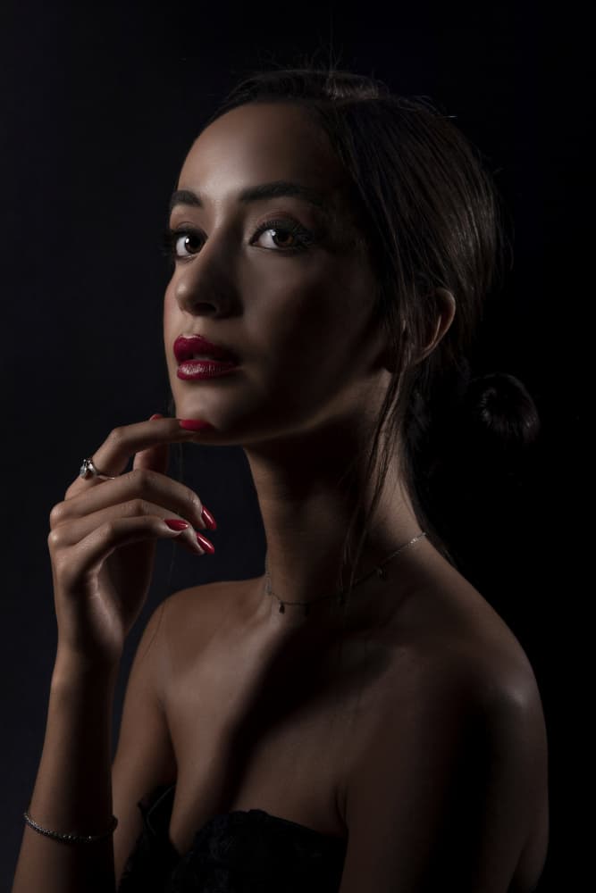 Elegant Woman Dramatic Portrait by Sharon Levy — canvas wall art