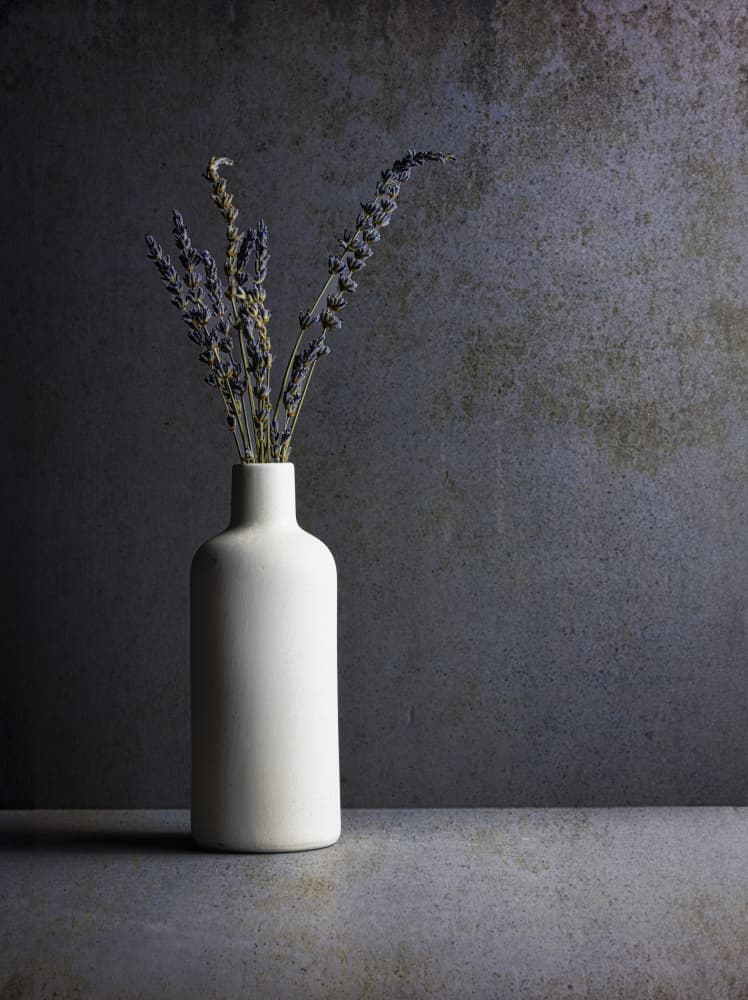Minimalist Lavender Still Life by Rob Ryan — canvas wall art