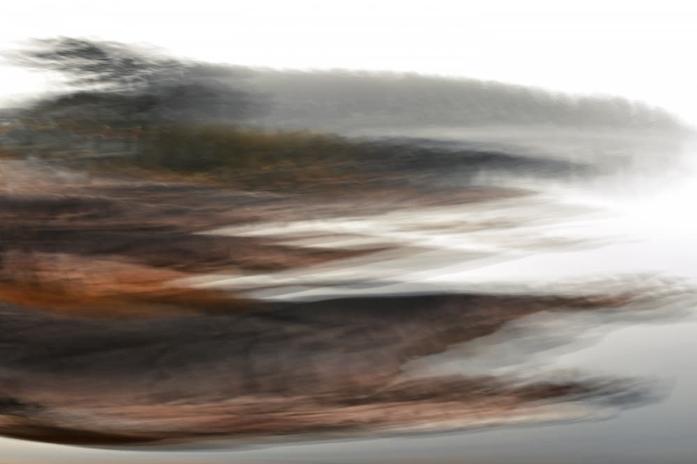 Misty Forest Horizon by Christina Sillen — canvas wall art