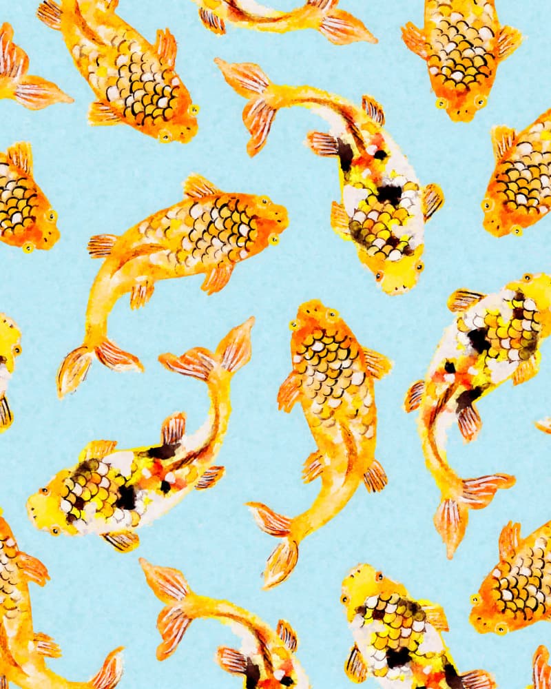 Goldfish by Uma Gokhale — canvas wall art