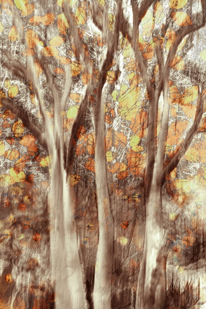 Golden Autumn Forest by Christina Sillen — canvas wall art